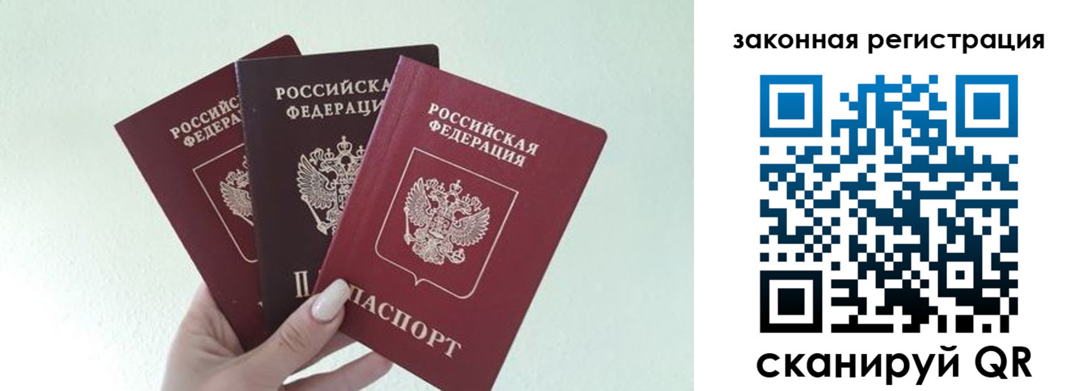 прописка 2025 в Луге